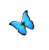 butterfly vision image