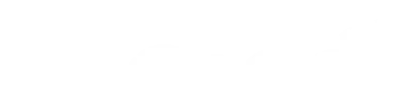 section Background Image